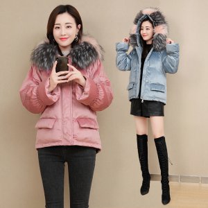 (image for) New short style casual and versatile personality sweet solid color straight 2020 winter cotton clothing